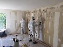 Best Biohazard Mold Removal  in Holts Summit, MO